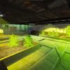 fivem weed farm locations - Image 2